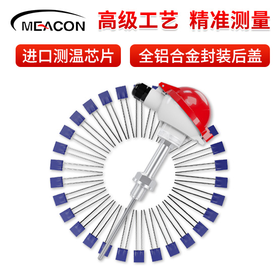 美控_Pt100鎧裝熱電阻直插安裝